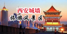 肛交美妇中国陕西-西安城墙旅游风景区